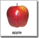 apple