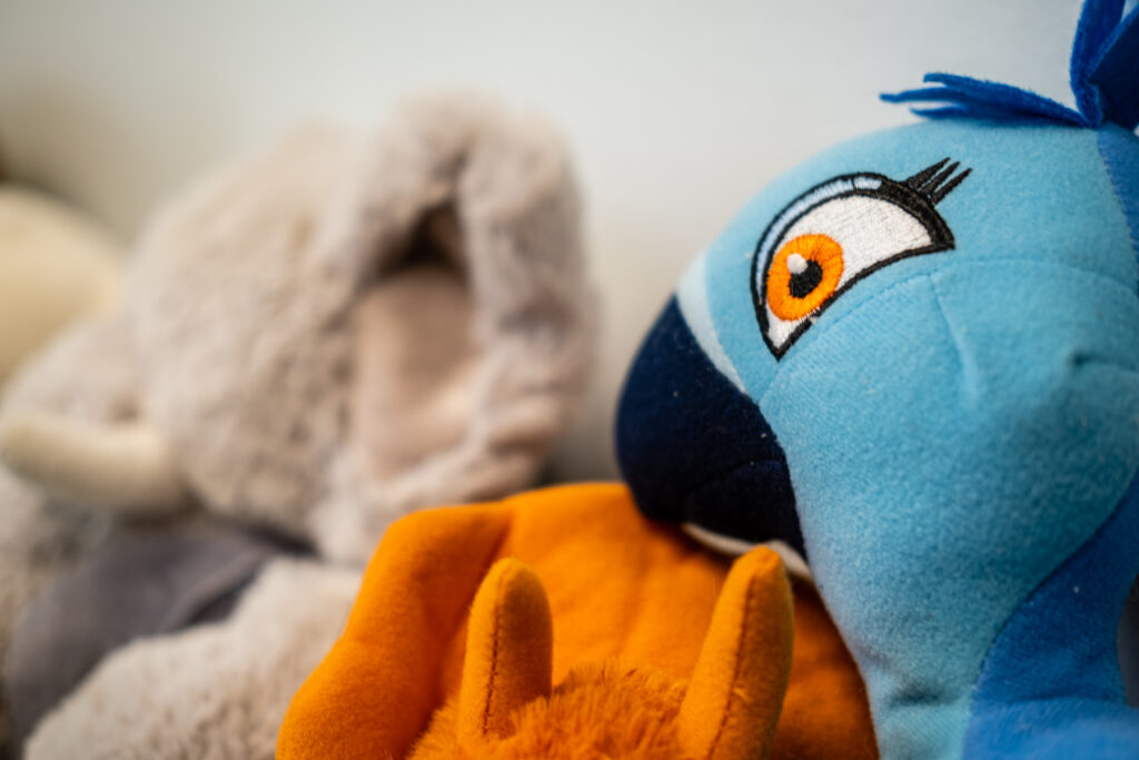 Close-up of colorful stuffed animal toys.