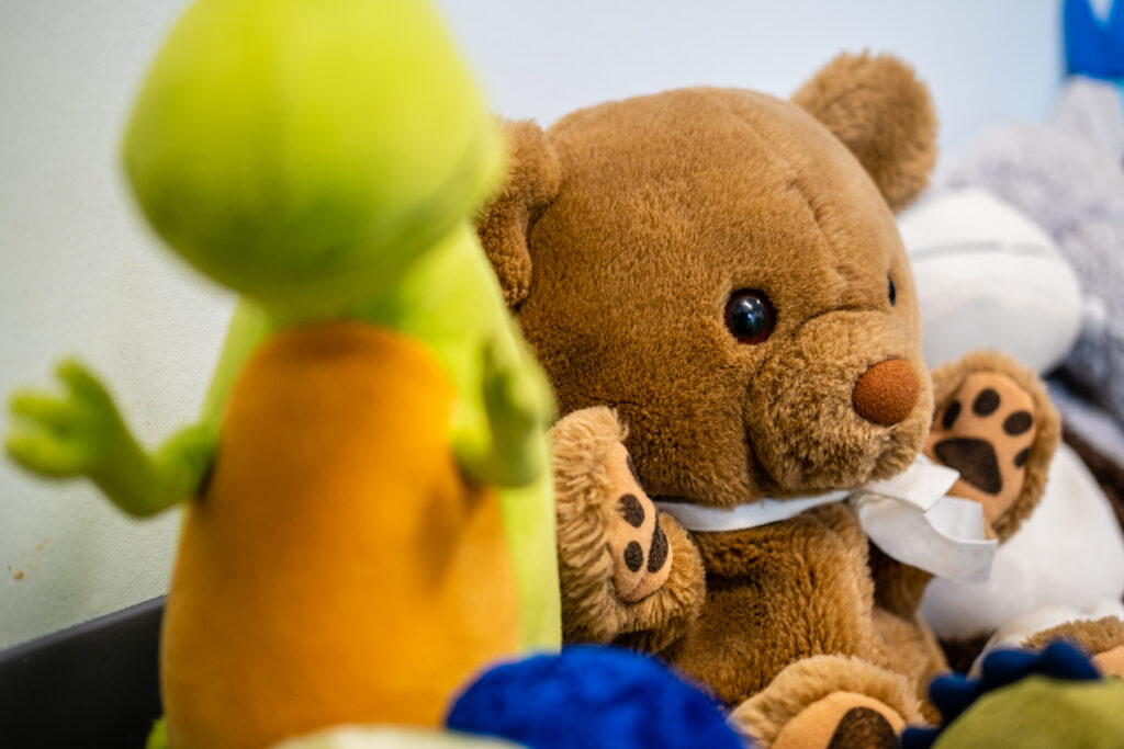 Stuffed animals, including a bear and dinosaur.