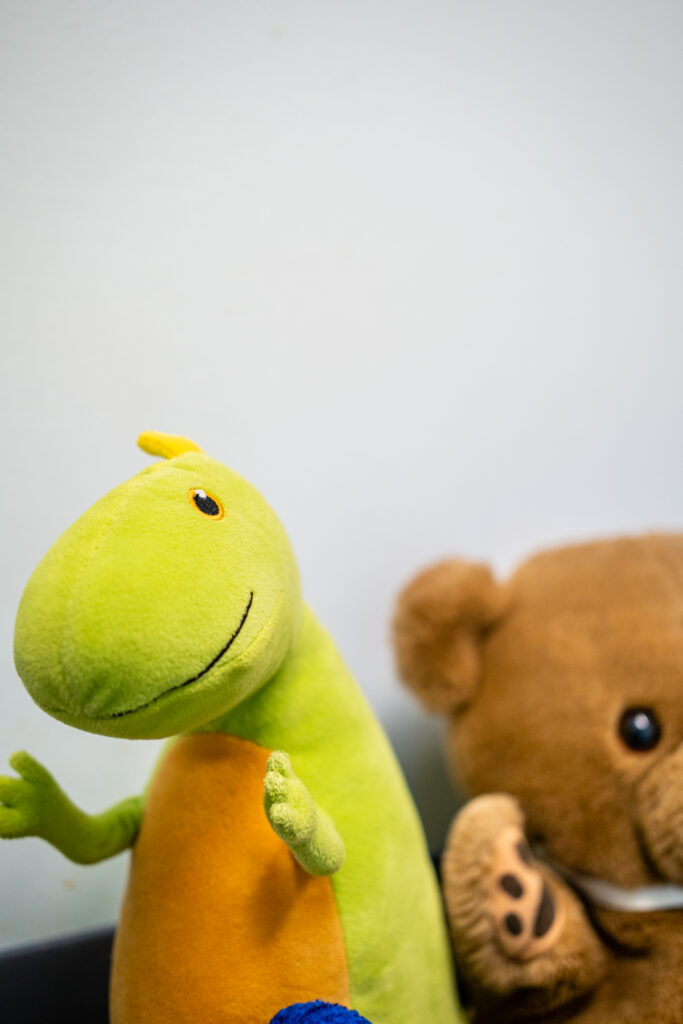 Green dinosaur and brown bear plush toys.