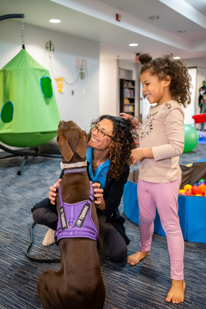 A dog joining the therapy session